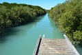 DSC_0037-53 (2)